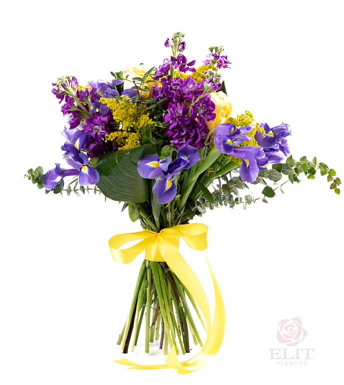 Buchet superb de flori Iris